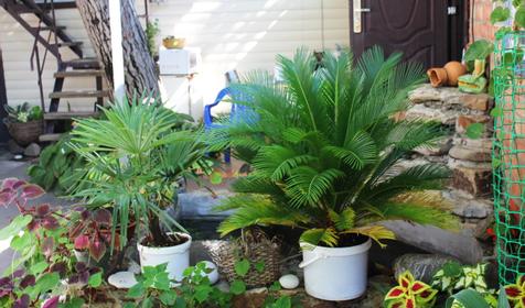 Гостевой дом Добро пожаловать, г. Ейск