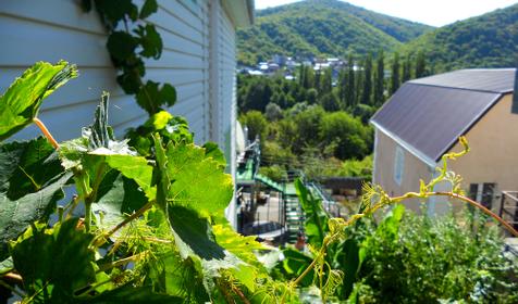 В гостях у Анжелы