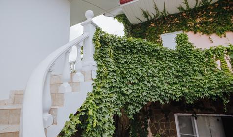 Гостевой дом Лаура, Сочи, Адлер