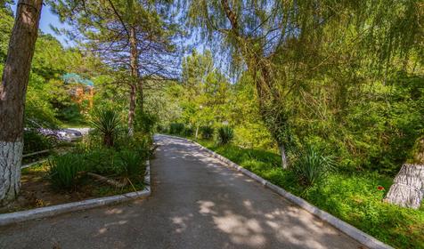 База отдыха Нефтяник, п. Архипо-Осиповка