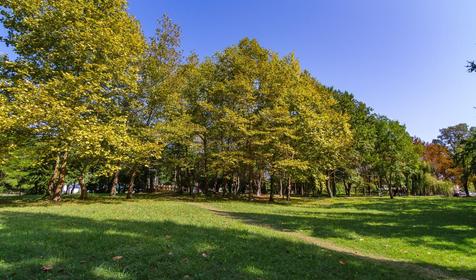 Курортный поселок Архипо-Осиповка
