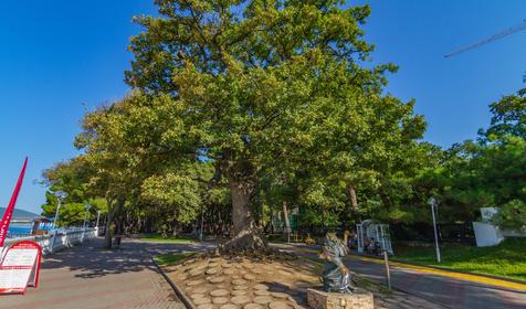 Геленджик. Краснодарский край