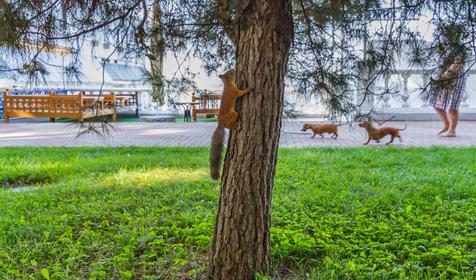 Геленджик. Краснодарский край