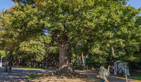 Геленджик. Краснодарский край