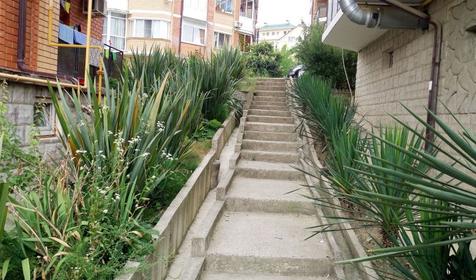 Пансионат-клуб Лесное, Сочи