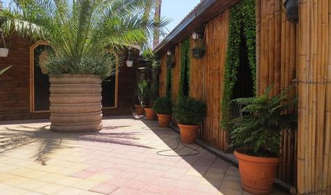 Пансионат-клуб Лесное, Сочи