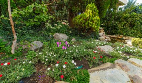 Санаторий Надежда, г. Анапа