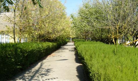 Волна, Темрюкский район