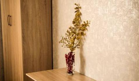 SunCity (СанСити)