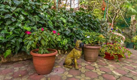 Гостиный дом Райский уголок, Сочи, Кудепста