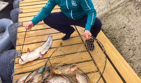 Рыболовно-охотничья база Водолей, Славянск-на-Кубани, Верхний