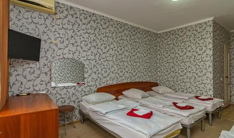 Пятиместный номер. Гостиница Пурпурный замок, Сочи, Адлер