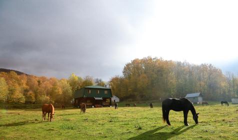 База отдыха Кордон Дальний, Туапсинский р-н, с. Молдовановка