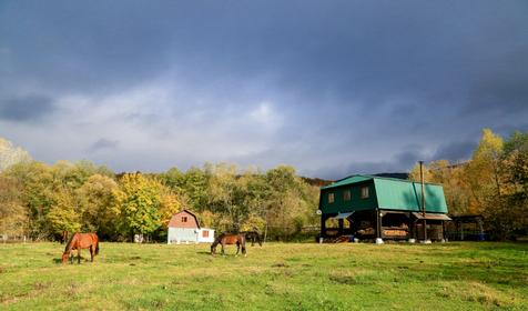 База отдыха Кордон Дальний, Туапсинский р-н, с. Молдовановка