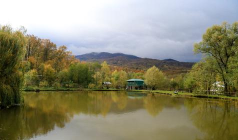 База отдыха Кордон Дальний, Туапсинский р-н, с. Молдовановка