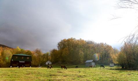 База отдыха Кордон Дальний, Туапсинский р-н, с. Молдовановка
