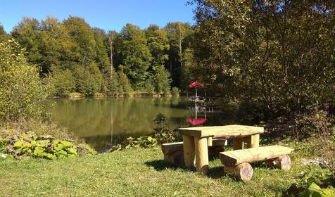 Пихтовый бор