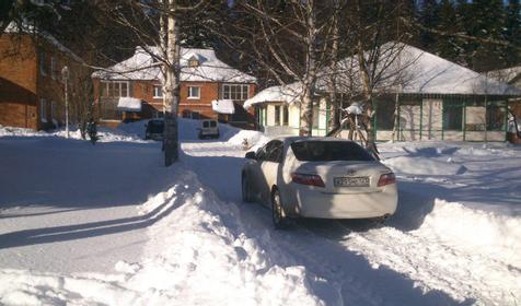 Пихтовый бор