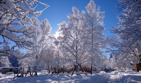 Пихтовый бор