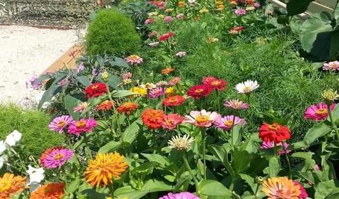 Коттеджный комплекс Подсолнух, Ейский район, ст. Должанская