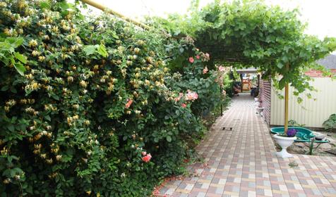 Гостевой дом Екатерина, Ейск