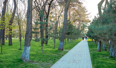 Отель Мишель, Анапа