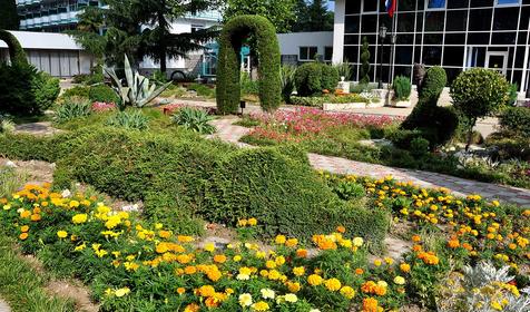 Территория. СКК Знание, г. Адлер