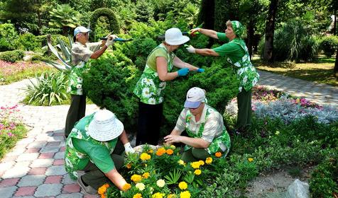 Территория. СКК Знание, г. Адлер
