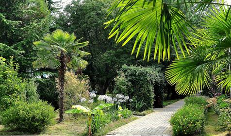 Территория. СКК Знание, г. Адлер