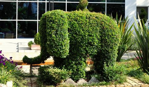 Территория. СКК Знание, г. Адлер