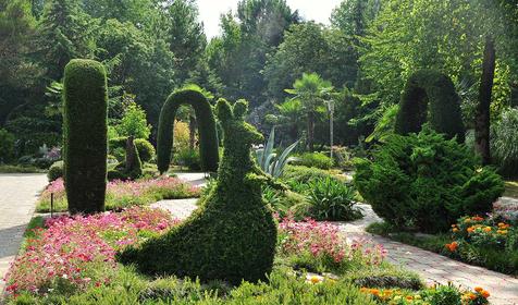 Территория. СКК Знание, г. Адлер