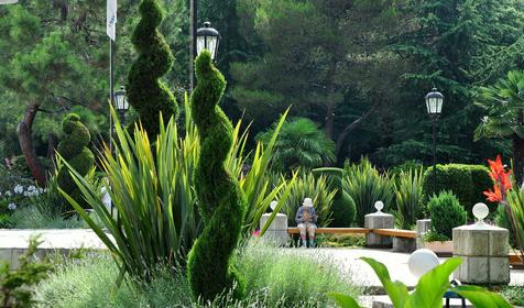 Территория. СКК Знание, г. Адлер