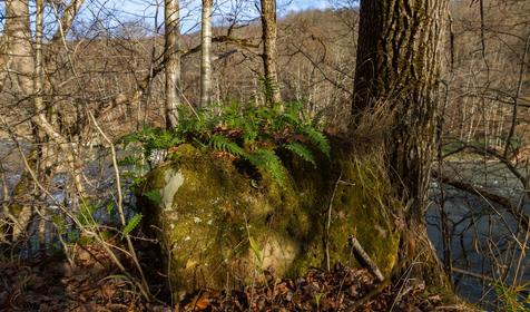 Республика Адыгея