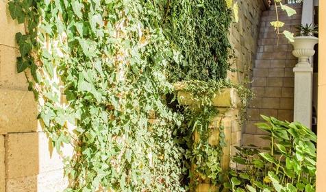 Отель Grace Nairi (Грейс Grace Nairi (Грейс Наири)), Сочи