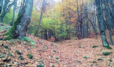 Баракаевская сказка, п. Мостовской.
