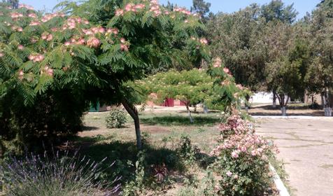 Касабланка