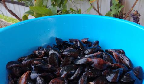 Касабланка