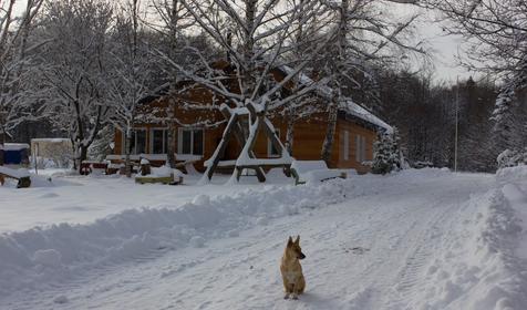 Пихтовый бор