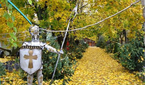  Оздоровительно-туристический комплекс Жень-Шень, п. Мостовской