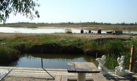 Осетровый курень