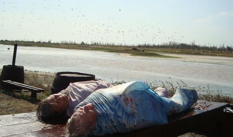 Осетровый курень