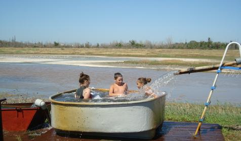 Осетровый курень