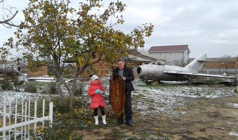 Осетровый курень