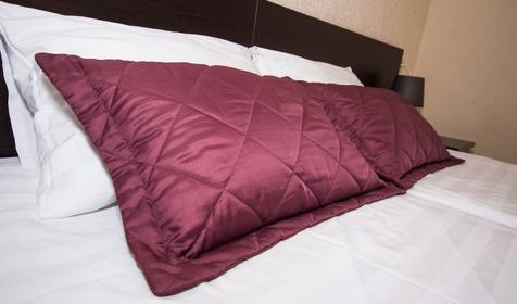 Двухместный стандарт