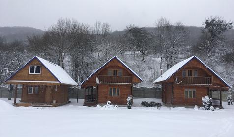 Близнецы у реки