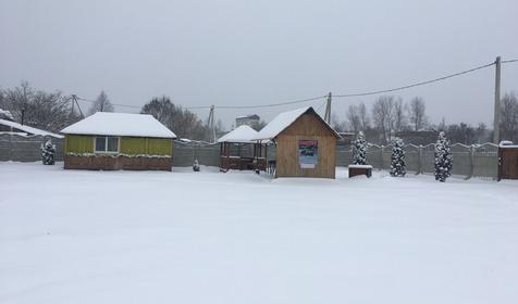 Близнецы у реки