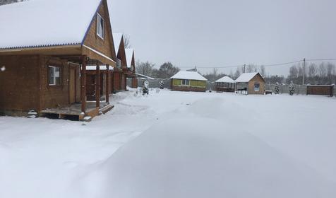 Близнецы у реки