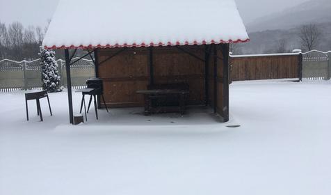 Близнецы у реки