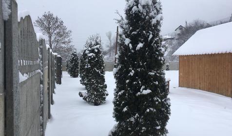 Близнецы у реки