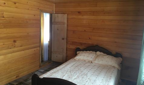 Близнецы у реки